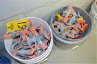 LOT OF ASSORTED SPRING CLAMPS